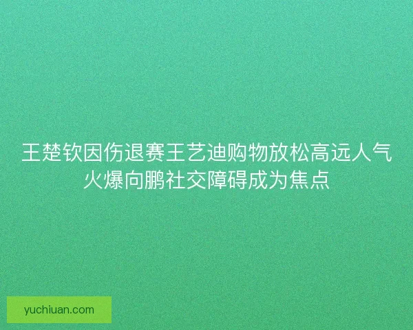 王楚钦因伤退赛王艺迪购物放松高远人气火爆向鹏社交障碍成为焦点